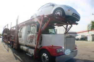 Silver Beetle loaded :-)
