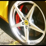 Ferrari Collecrtion Formula 1