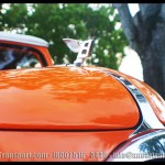 Davie FL Car Show Orange Bentley